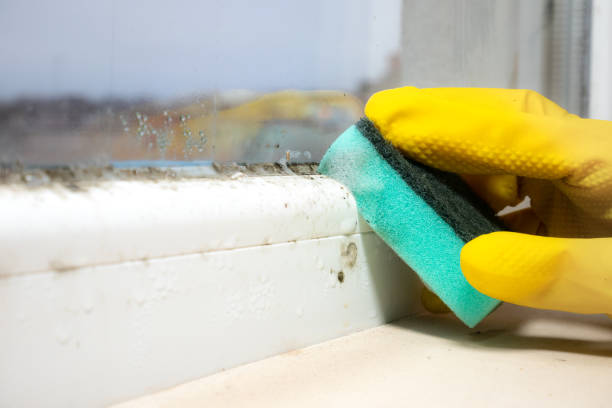 Best Mold Remediation for Specific Building Types in Mitchell, SD