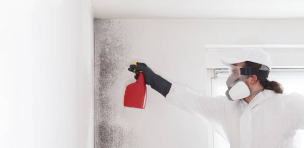 Best Mold Remediation for Specific Building Types in Mitchell, SD
